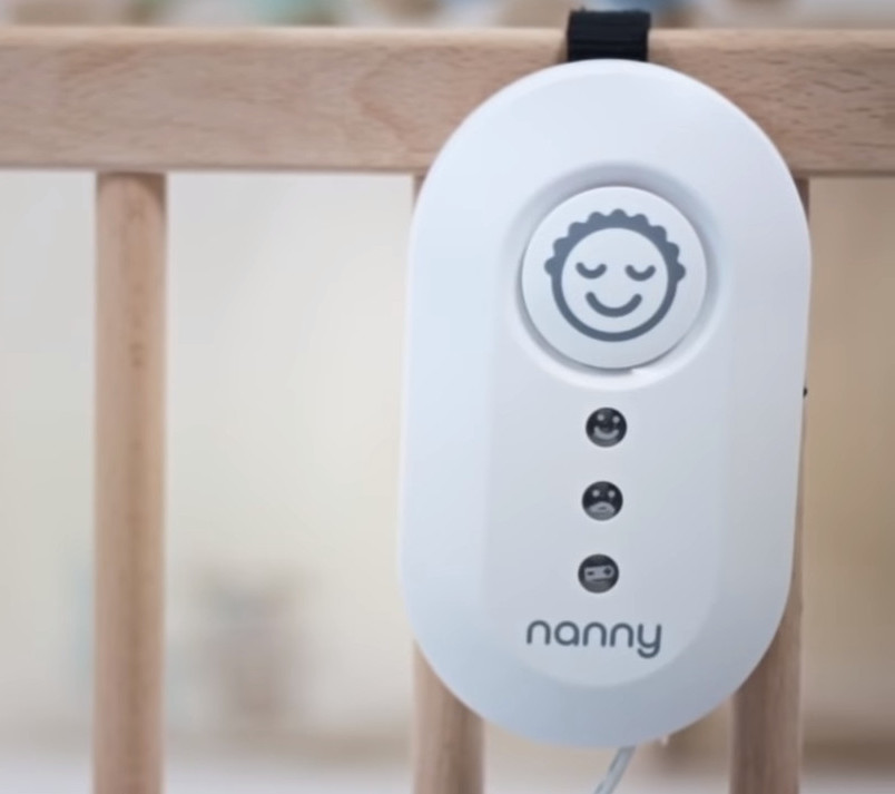 monitor dechu nanny
