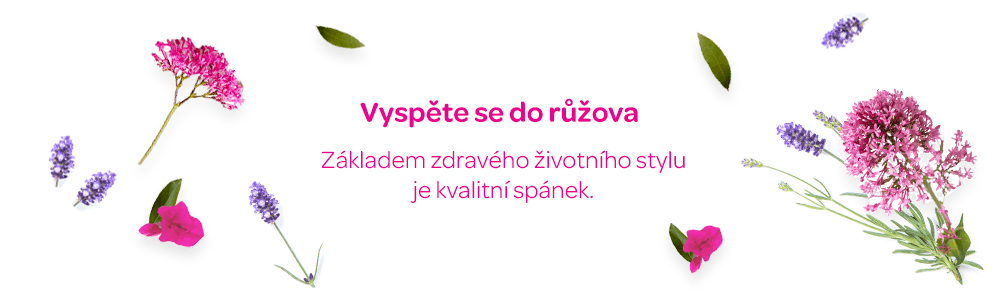 Spánek