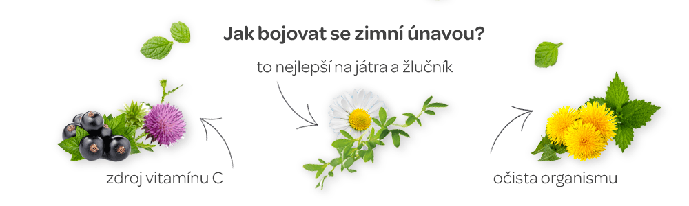 Únava