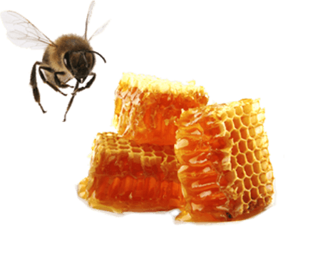 propolis