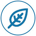 kopřiva