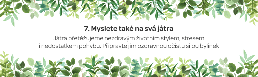 zdravá játra