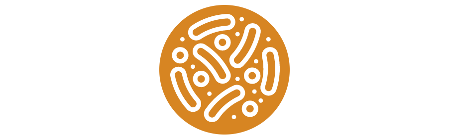 Saccharomyces boulardii , kvasinky a imunita