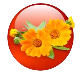 Lutein