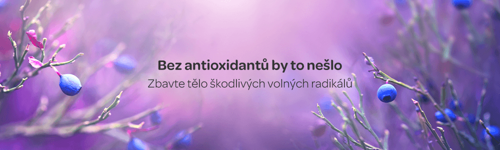 antiíoxidanty