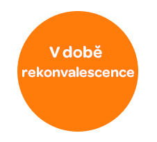 rekonvalescence