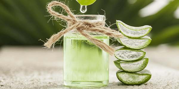 aloe vera