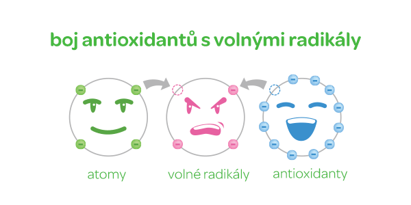 radikály