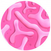 nejlepší probiotika Bifidobacterium