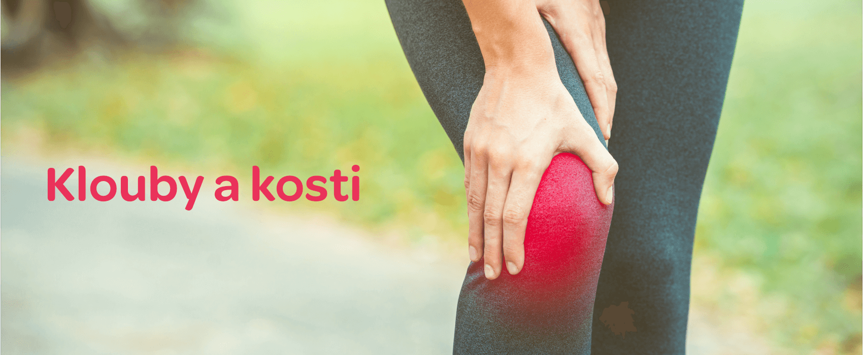 Klouby a kosti