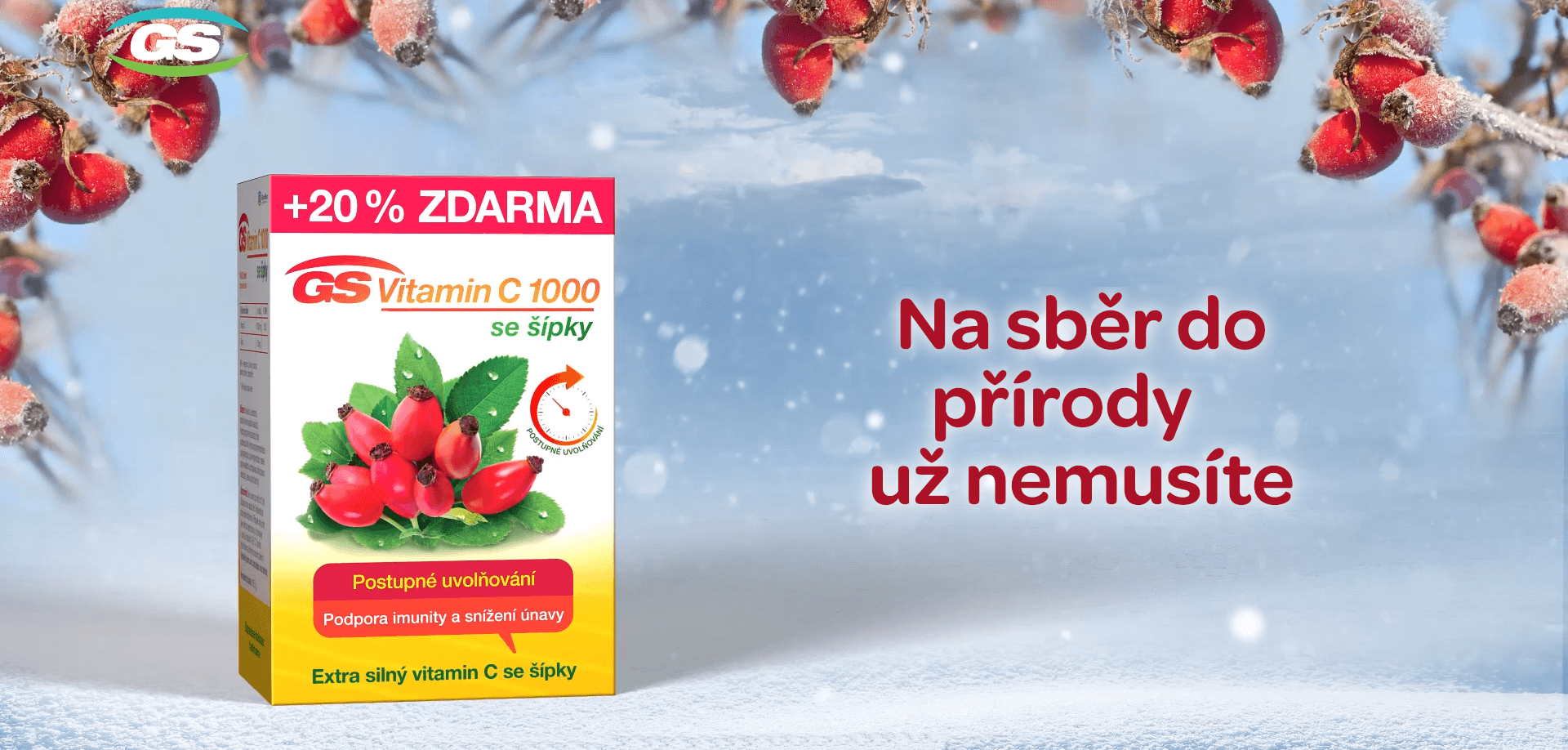 GS vitamin C