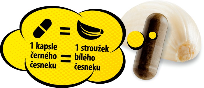 fermentovaný česnek