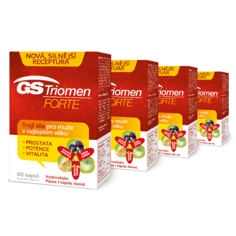 GS Triomen FORTE