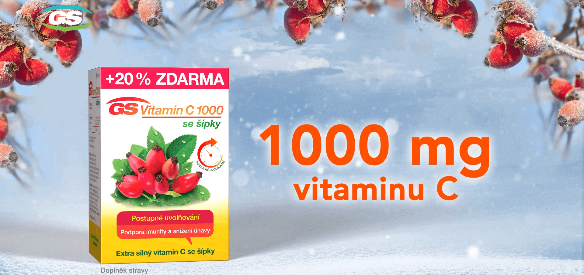 GS Vitamin C1000 + šípky