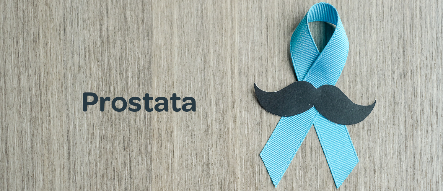 Prostata