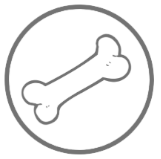 kosti a klouby