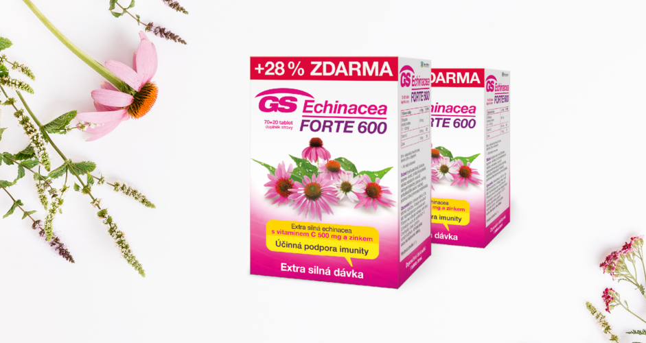 GS Echinacea
