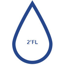 2FL
