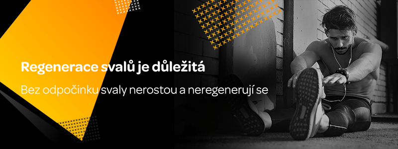 Regenerace