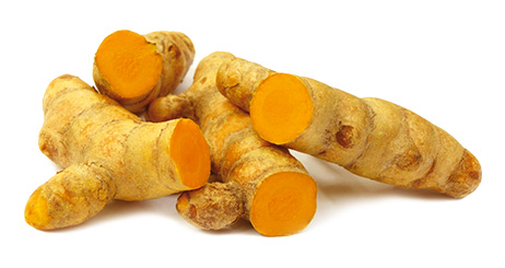 Kurkuma dlouhá