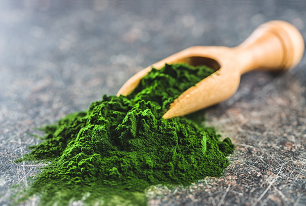 chlorella