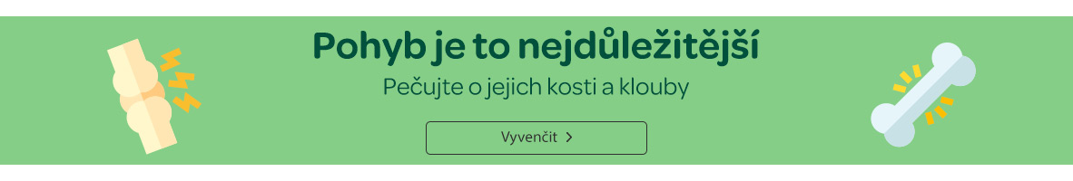 Pohyb