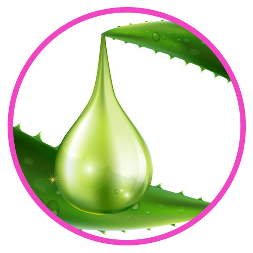 aloe vera
