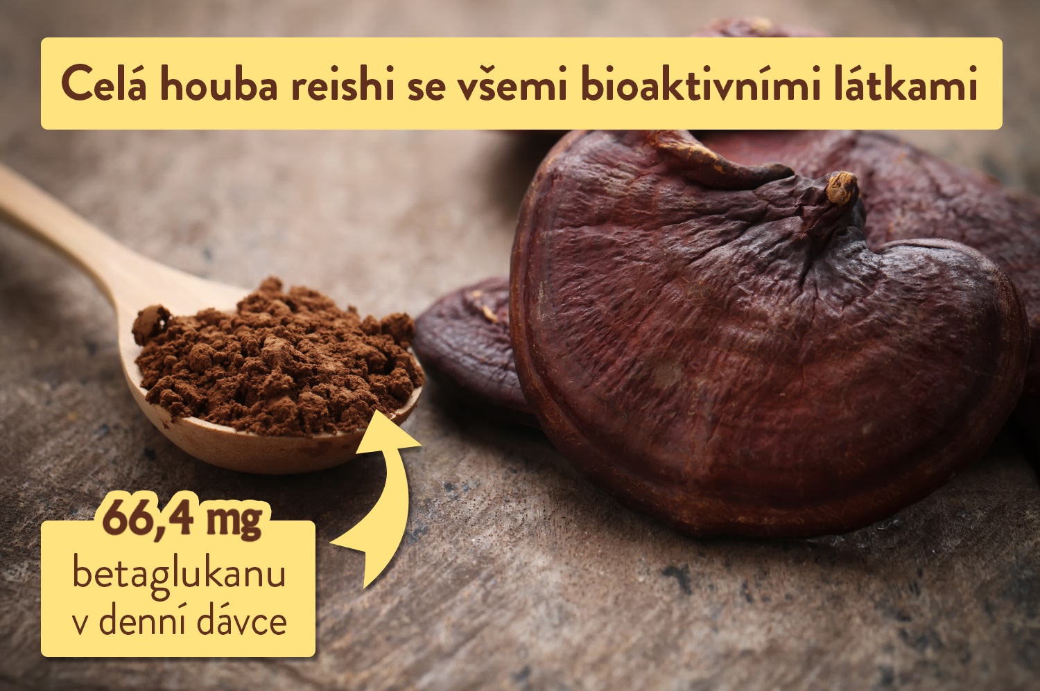 reishi houba