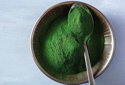 chlorella