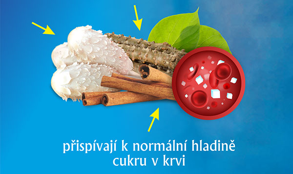 Terezia, Gluregul, 60 kapslí, snižuje hladinu cukru v krvi, 100% přírodní složení, hojník, Extrakt chebule srdčité , objevte zázračnou sílu této přírodní kombinace