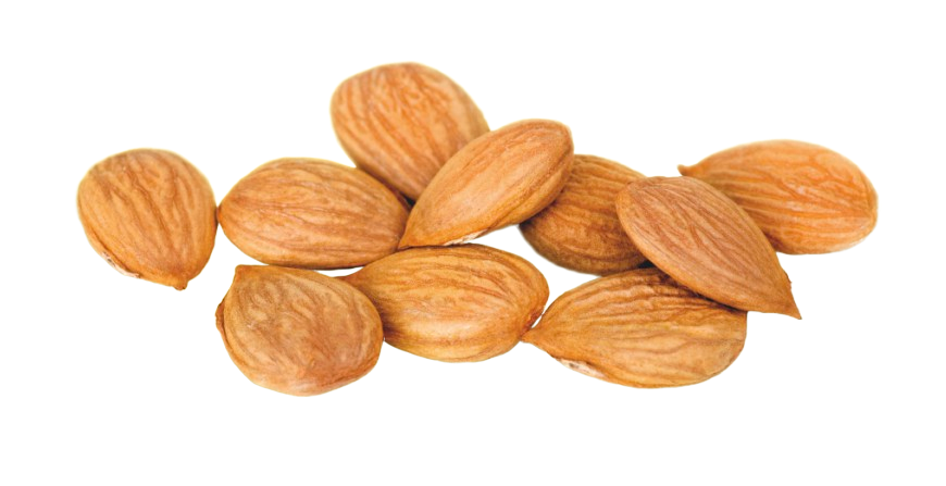 Terezia, B17 Apricarc, silná kombinace přípravku, Meruňková jádra - vitamí A, B a amygdalin, podporuje organizmus, Doplňuje tělu potřebné látky, obranyschopnost, oběhový systém, metabolismus, činnost srdce, ůnava, zdravá pokožka, trávicí trakt,