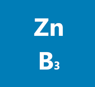 Zinek a niacin