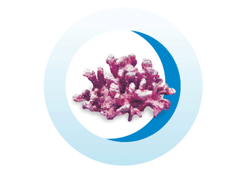 Aquamin