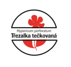 Třezalka tečkovaná