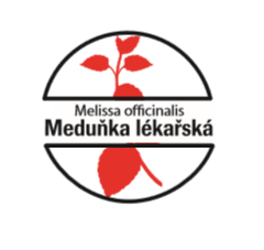 Meduňka lékařská