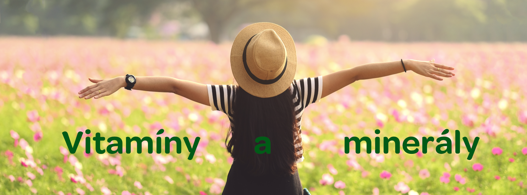 Vitamíny a minerály