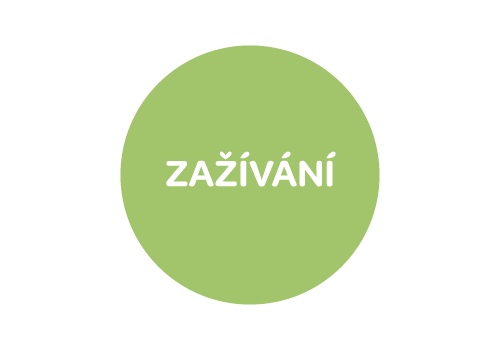 Activaloe forte, lekarenska aloe, imunita, detoxikace, zažívání