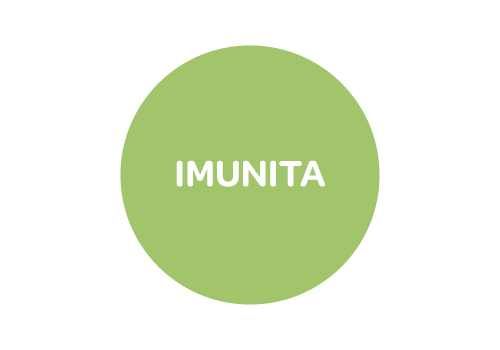 Activaloe forte, lekarenska aloe, imunita, detoxikace, zažívání