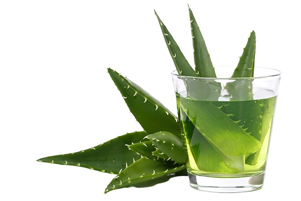 Activaloe forte, lekarenska aloe, imunita, detoxikace, zažívání, návod k použití