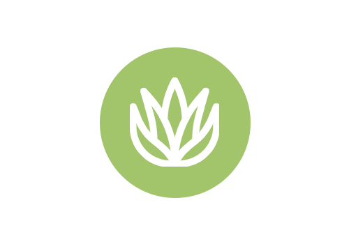 Activaloe forte, lekarenska aloe, imunita, detoxikace, zažívání, hladina glukosy v krvy