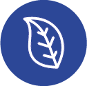 Byliny