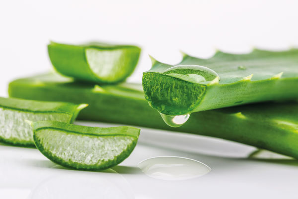 Aloe podporuje