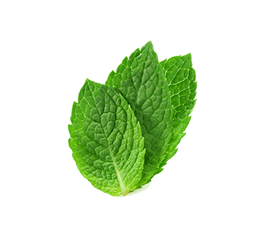 Persen forte, psychovegetativní poruchy, nespavost, nervozita, deprese, strach, neklid, únava, rostliný extrakt, koncetrace, Meduňkový, mata, kozlik