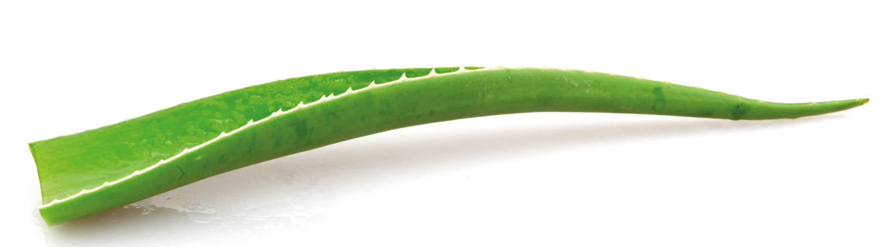 List aloe