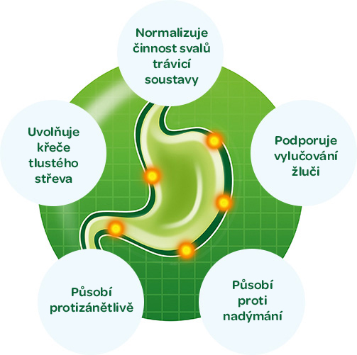 iberogast , nadýmání , žaludek , zažívací potíže , bylinné složení