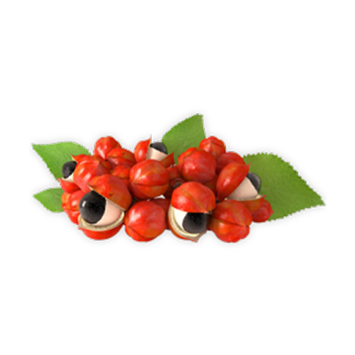 Proerecta shot, bylinné složení, L-Arginin (500 mg), Guarana