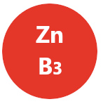 Zinek a niacin
