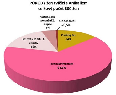 aniball