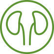 ledviny