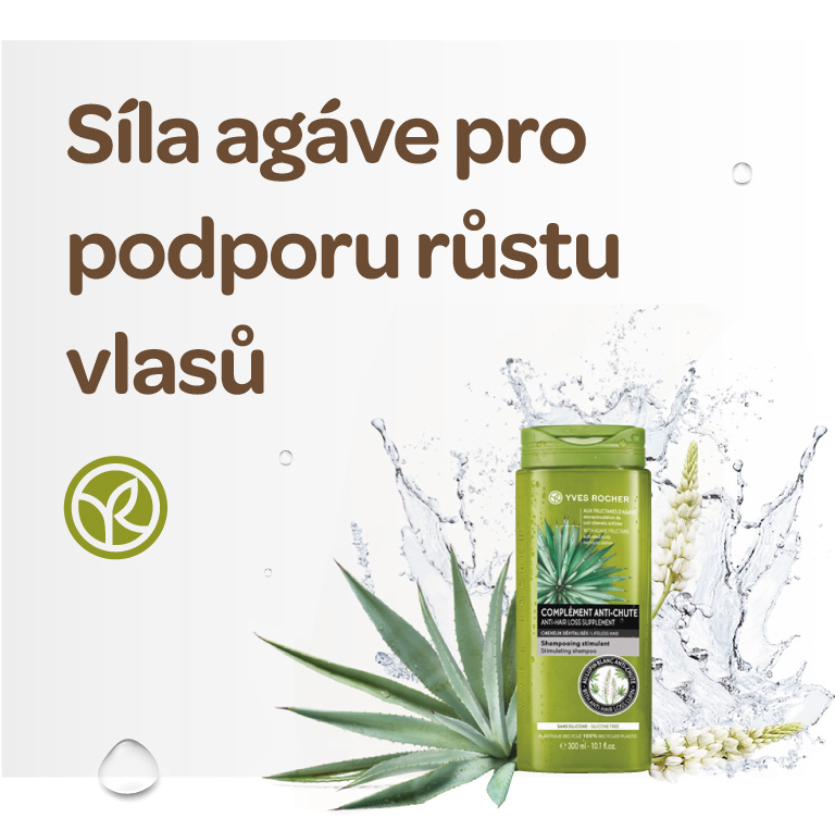 agáve pro pro podporu růstu vlasů